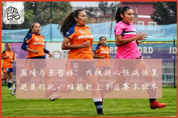 周琦与王哲林：内线核心伤病恢复进度对比，谁能赶上季后赛末班车？