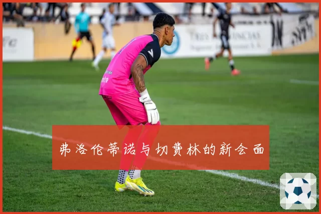 弗洛伦蒂诺与切费林的新会面