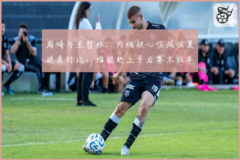 周琦与王哲林：内线核心伤病恢复进度对比，谁能赶上季后赛末班车？