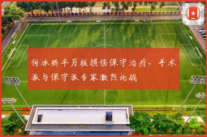 何冰娇半月板损伤保守治疗,手术派与保守派专家激烈论战